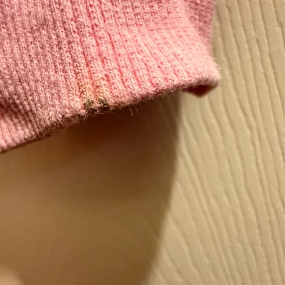 PINK PALM PUFF “Everything Comes in Waves” Oversized Hoodie - VGUC - Size XS - Picture 5 of 5